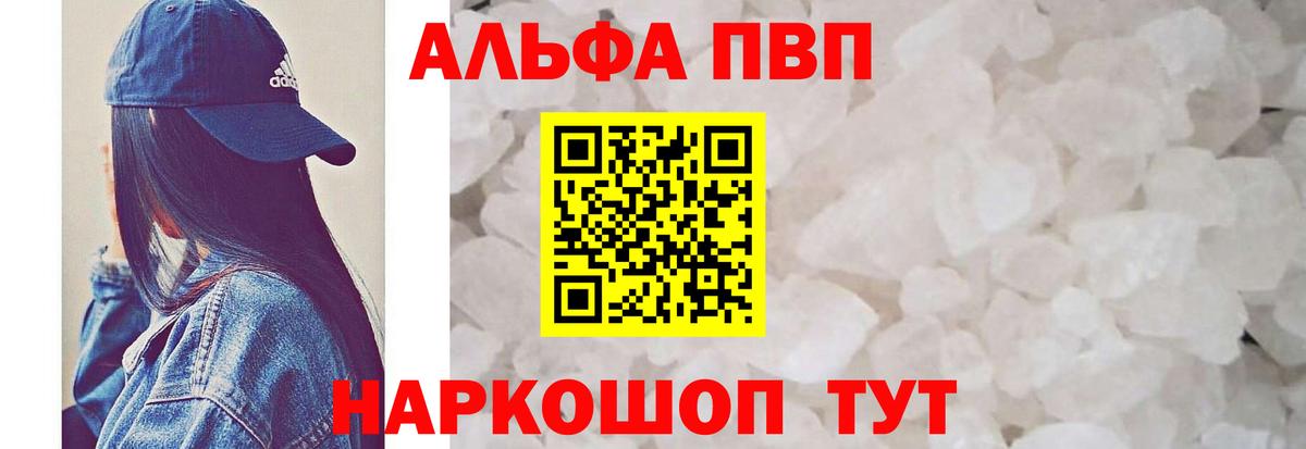 Альфа ПВП СК Гудермес