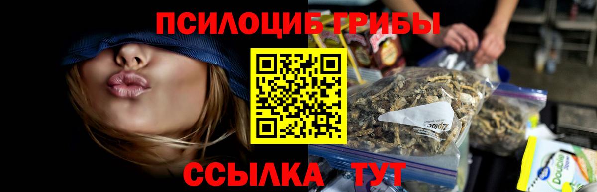Псилоцибиновые грибы Cubensis Гудермес